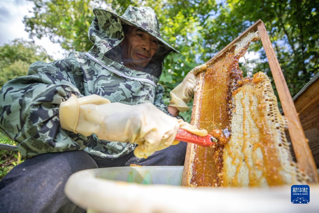 博贝棋牌官网